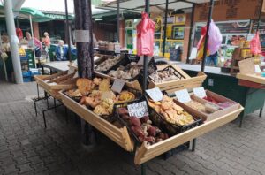 249288686-10223119918764639-5564181842077073956-n