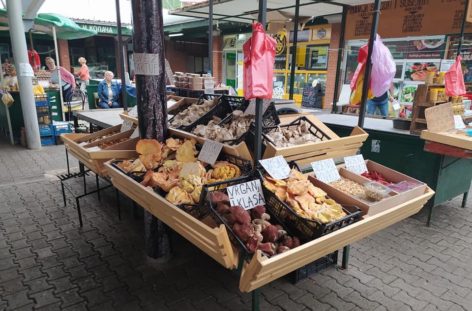 249288686-10223119918764639-5564181842077073956-n