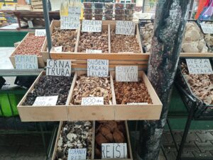 342861976-184921224388075-4296805097123718090-n