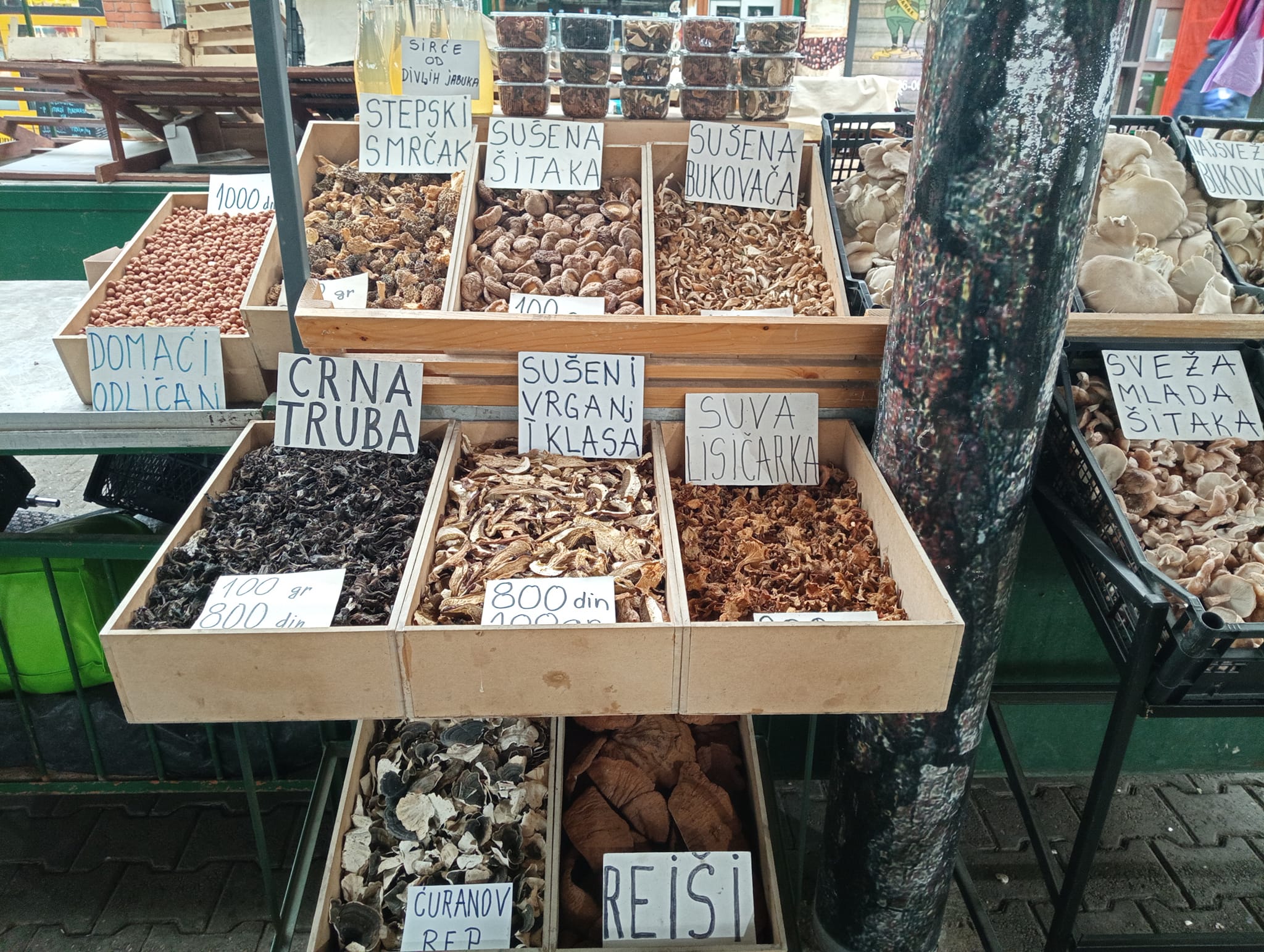 342861976-184921224388075-4296805097123718090-n