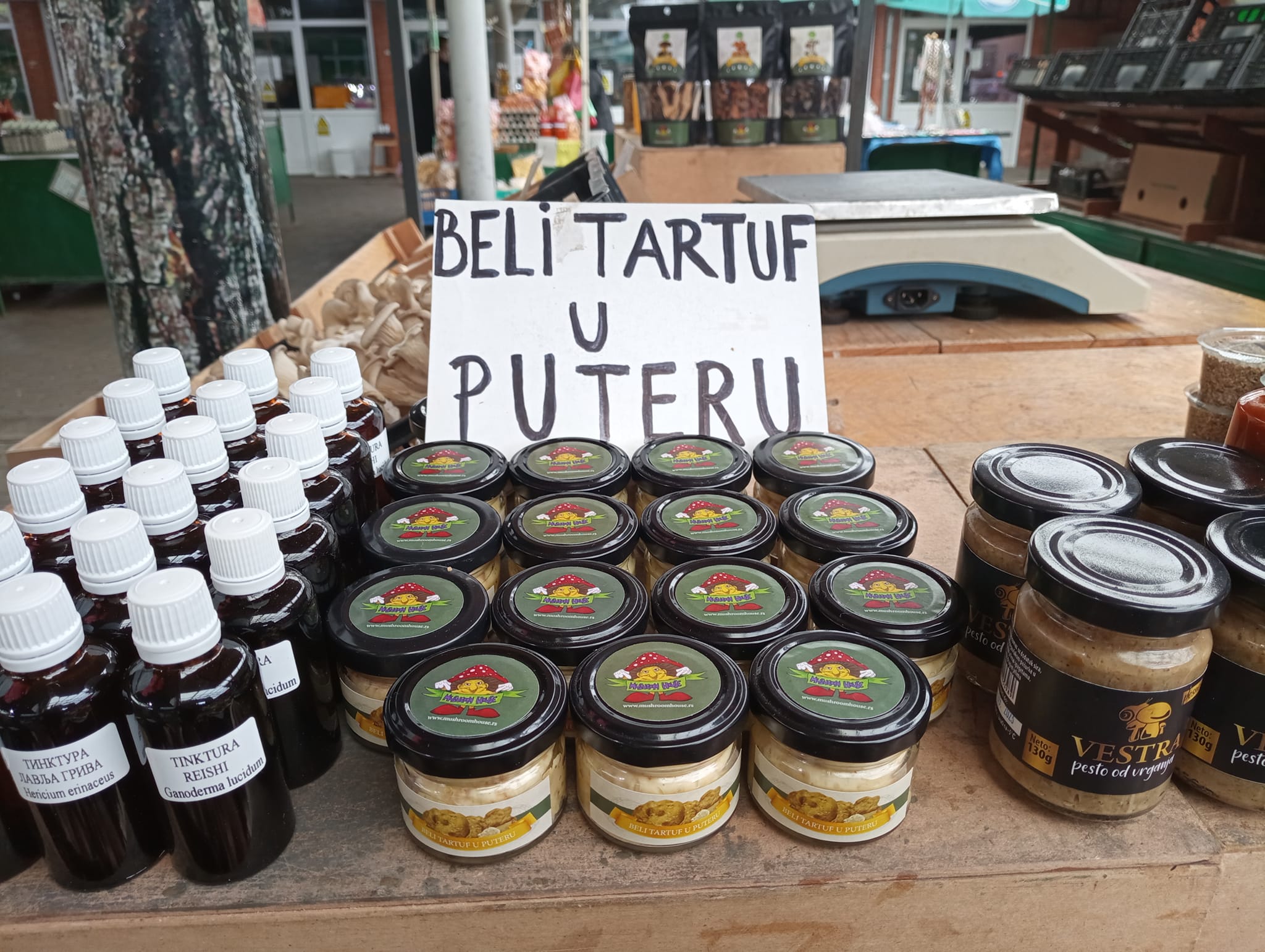 358057709-10226824923467441-3574159970648657094-n-(1)