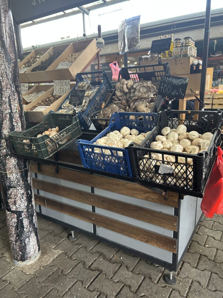 Darko od gljiva pravi ozbiljan posao: Od micelijuma do ekskluzivnih restorana