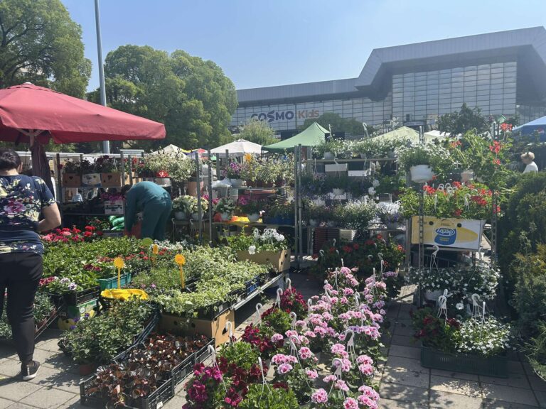 Cvetna pijaca u Novom Sadu: Dva dana kada grad procveta i miriše na proleće