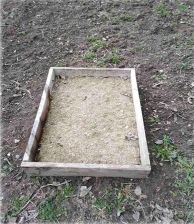 Stare sorte – nova šansa