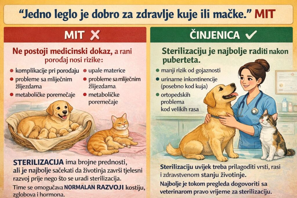 Jedno leglo je dobro za zdravlje kuje ili mačke? 