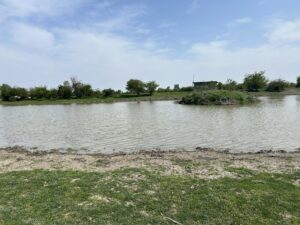 ZASAVICA: Gde Sava razdvaja Srem i Mačvu, a priroda i dalje vodi glavnu reč