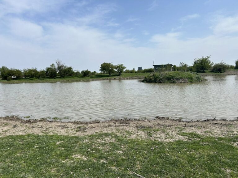 ZASAVICA: Gde Sava razdvaja Srem i Mačvu, a priroda i dalje vodi glavnu reč