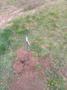 viber-image-2026-03-04-15-11-05-533