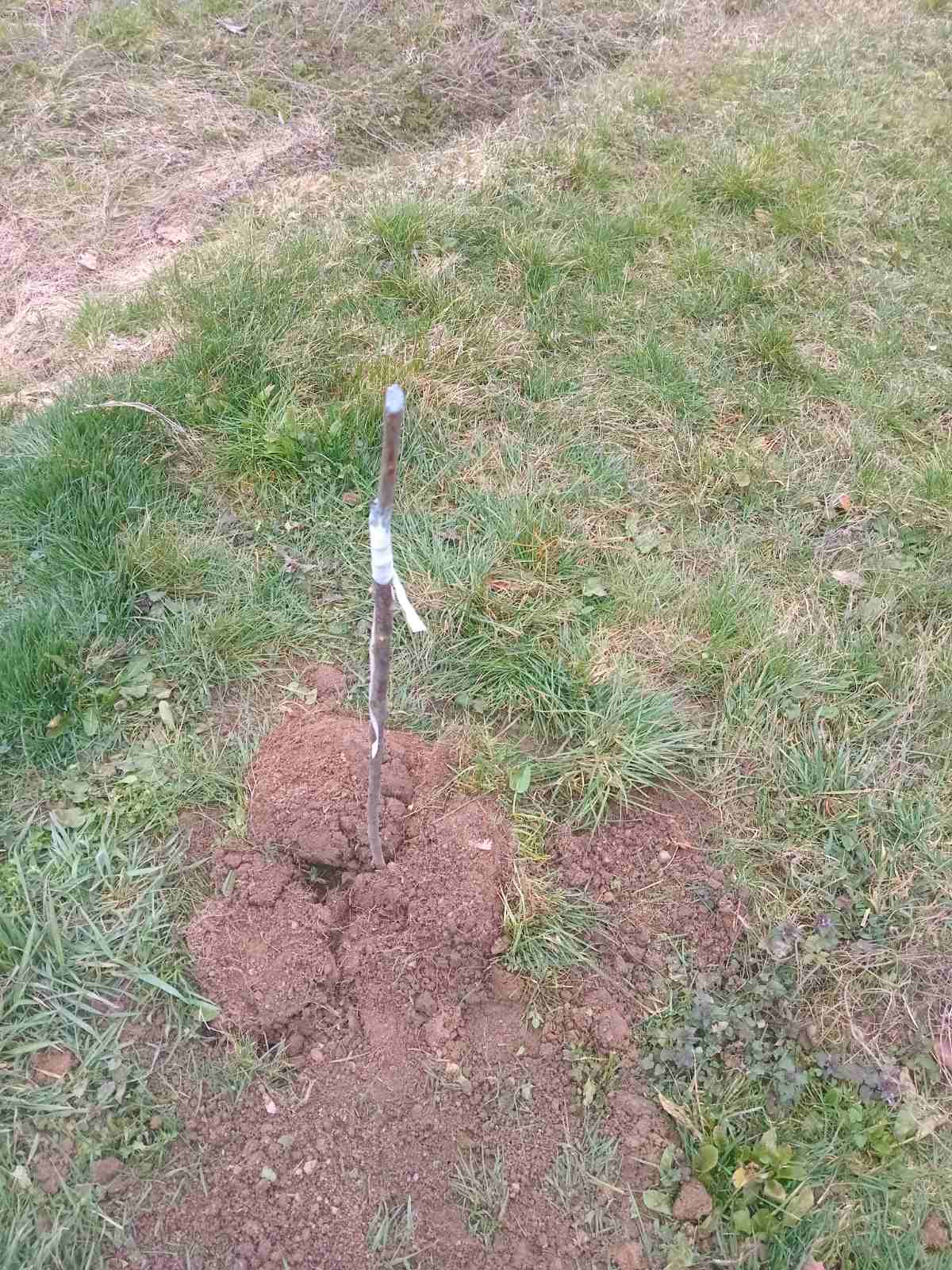 viber-image-2026-03-04-15-11-05-533