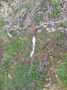 viber-image-2026-03-04-15-11-11-090