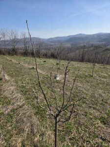 viber-image-2026-03-04-15-12-59-627