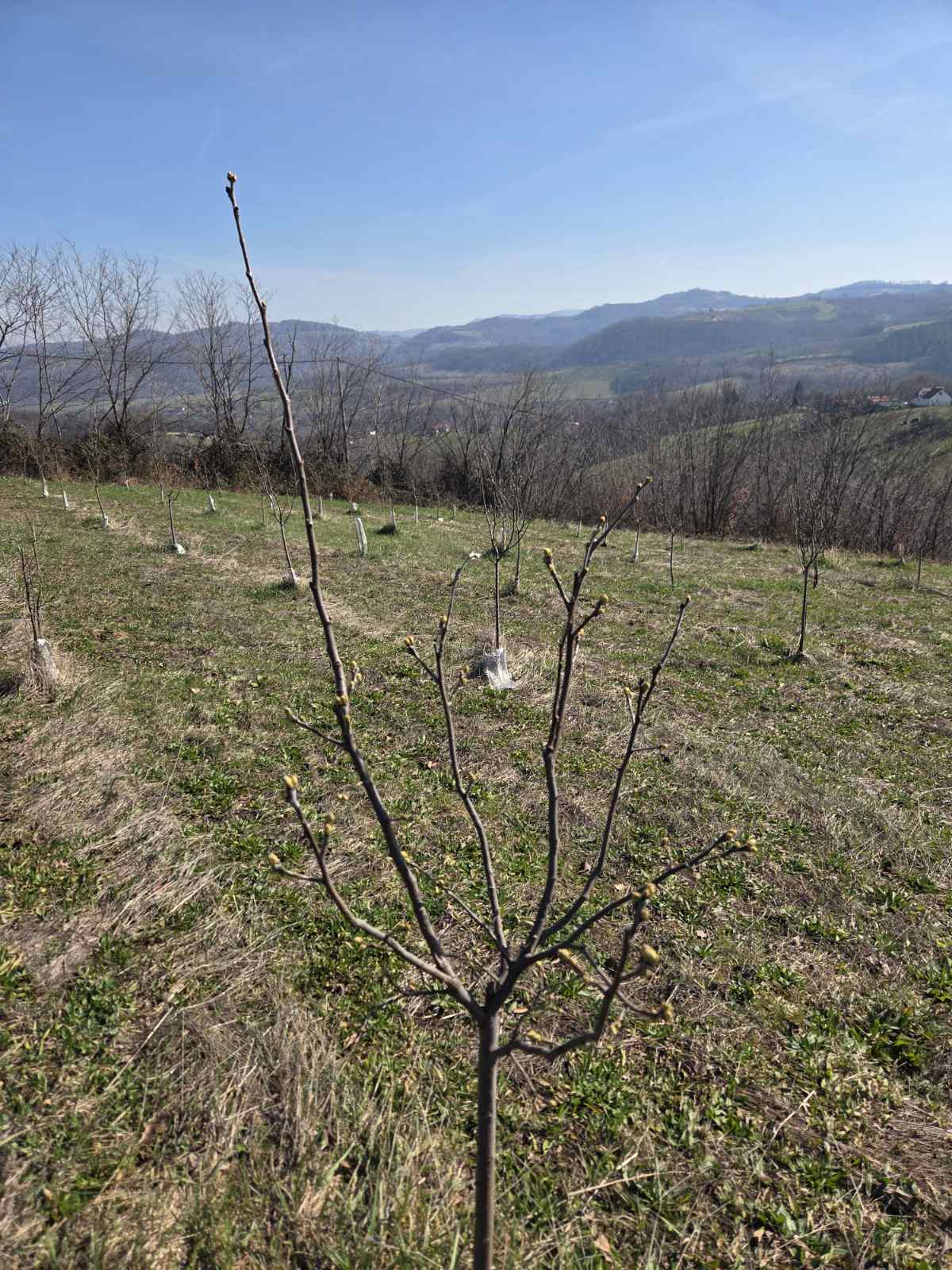 viber-image-2026-03-04-15-12-59-627