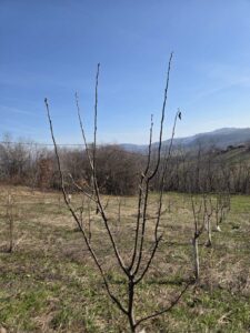 viber-image-2026-03-04-15-13-11-087