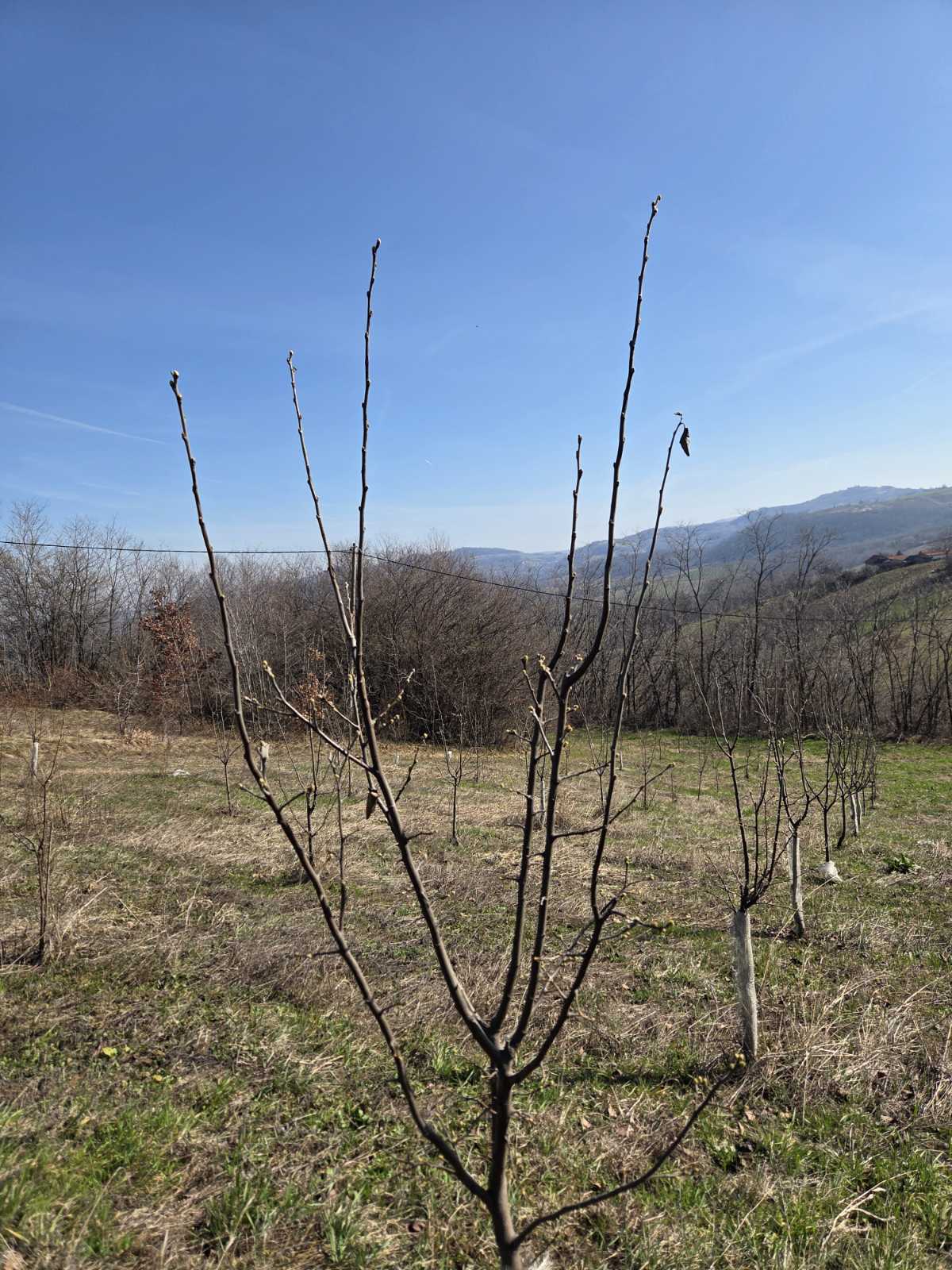 viber-image-2026-03-04-15-13-11-087