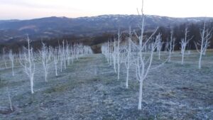 viber-image-2026-03-04-15-15-39-184