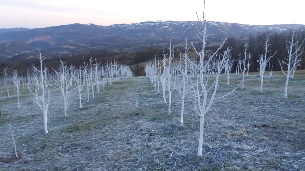 viber-image-2026-03-04-15-15-39-184