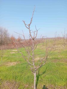 viber-image-2026-03-06-10-05-21-750