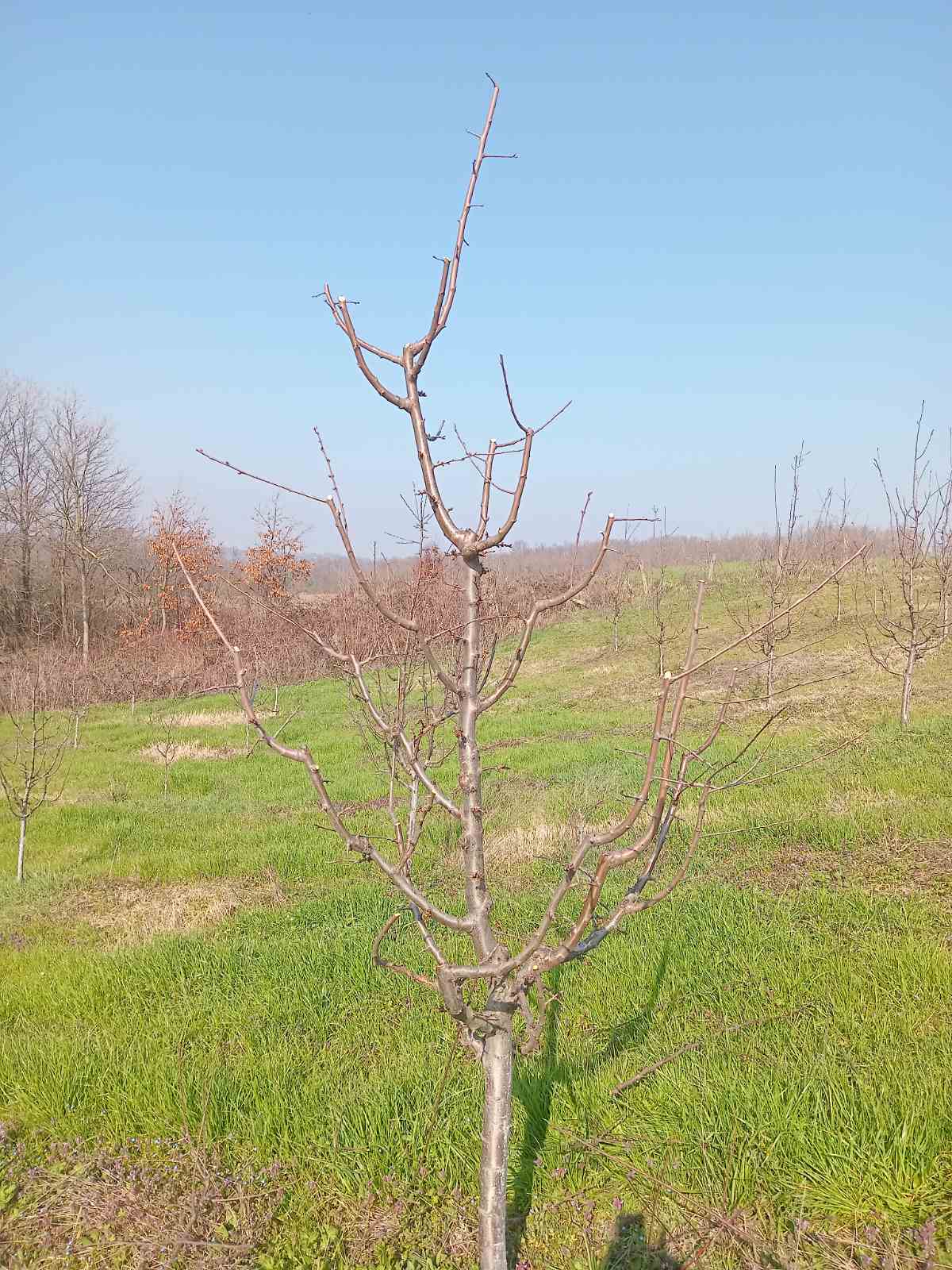 viber-image-2026-03-06-10-05-21-750