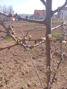 viber-image-2026-03-07-20-32-28-035