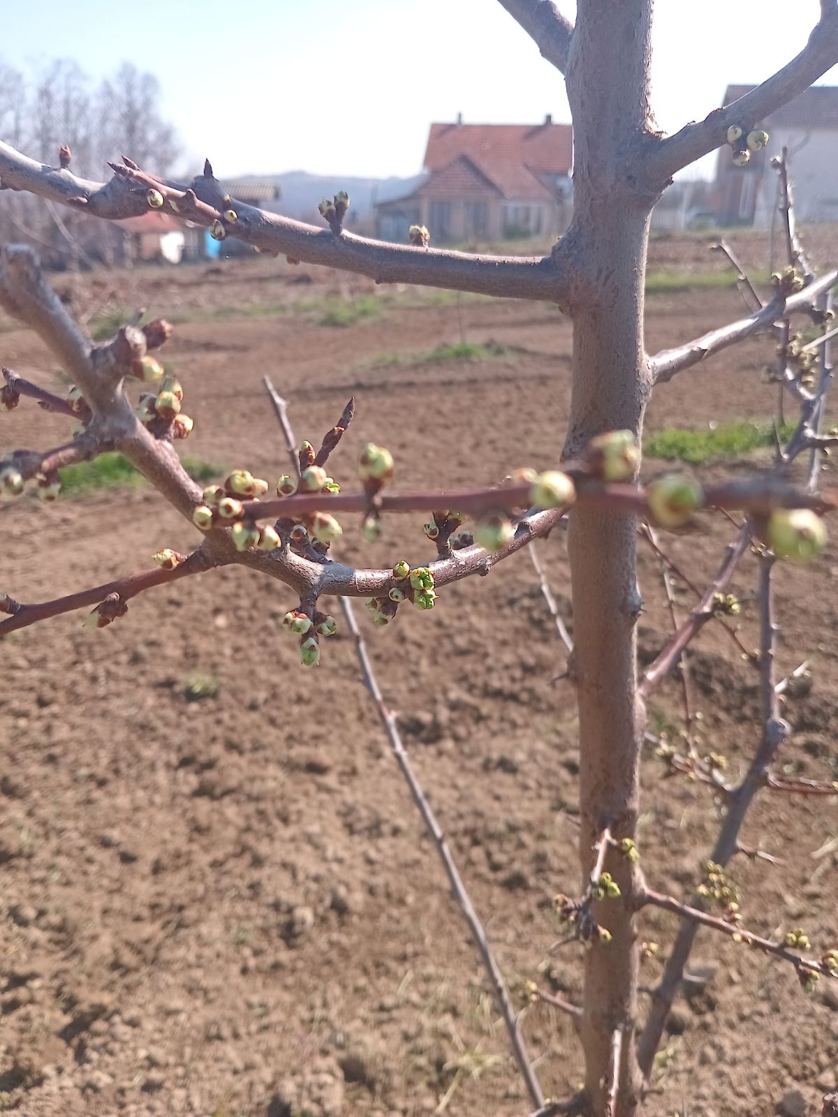 viber-image-2026-03-07-20-32-28-035