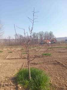 viber-image-2026-03-07-20-32-49-603