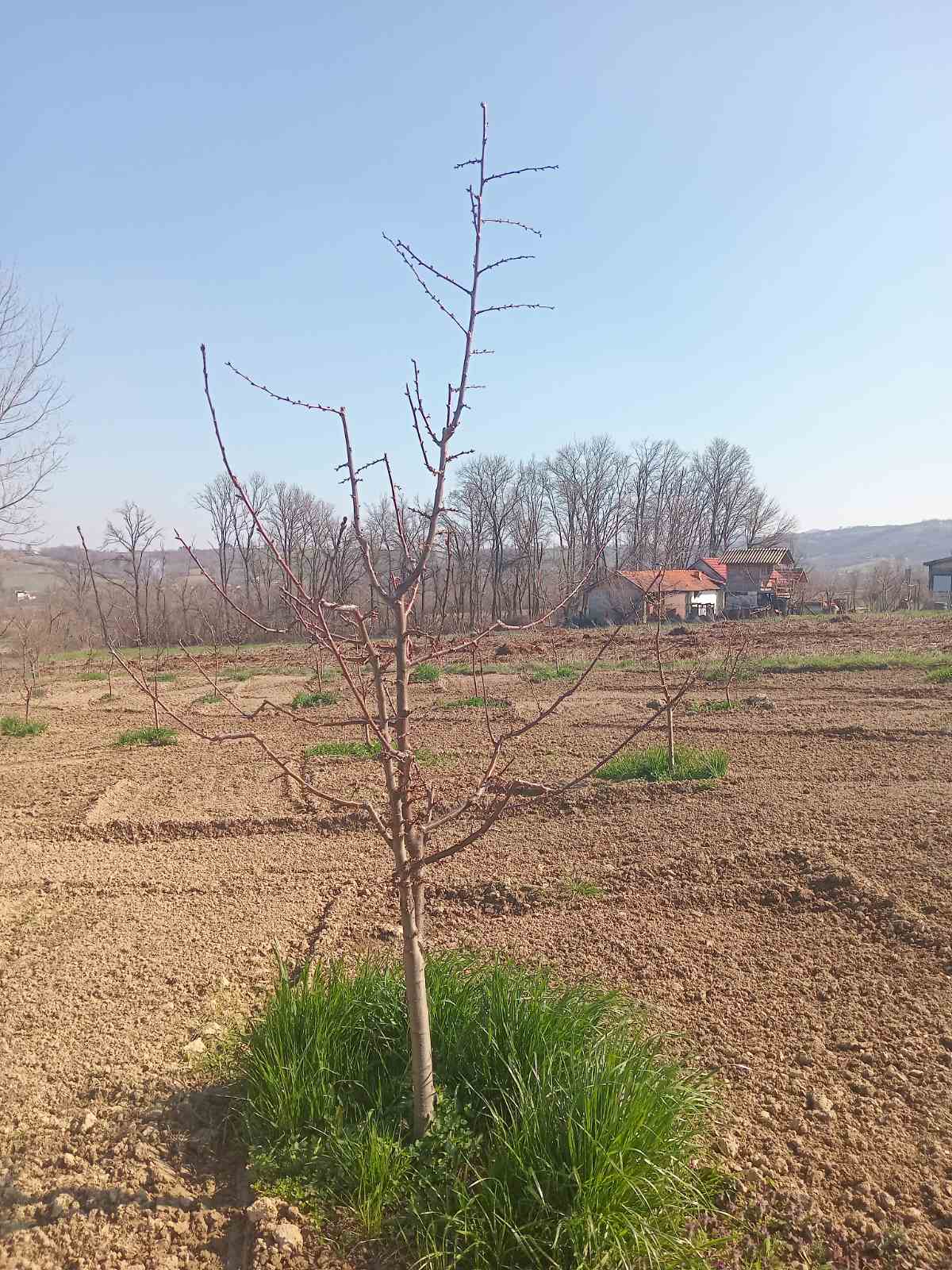 viber-image-2026-03-07-20-32-49-603