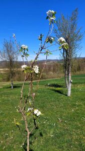 viber-image-2026-04-07-12-02-31-119