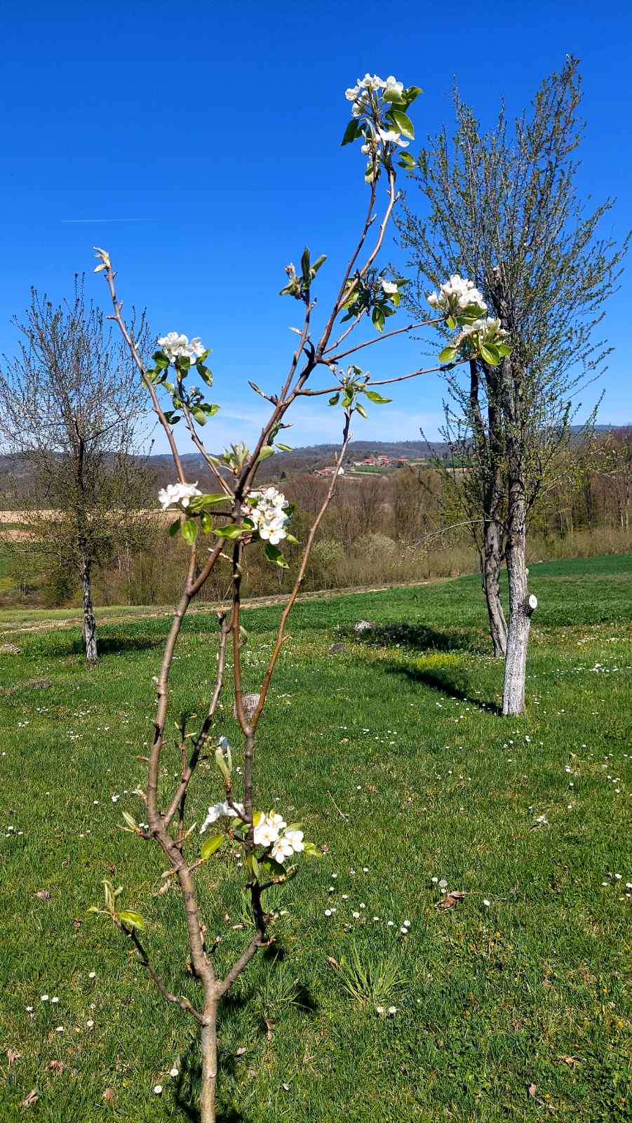 viber-image-2026-04-07-12-02-31-119