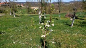 viber-image-2026-04-07-12-02-31-126