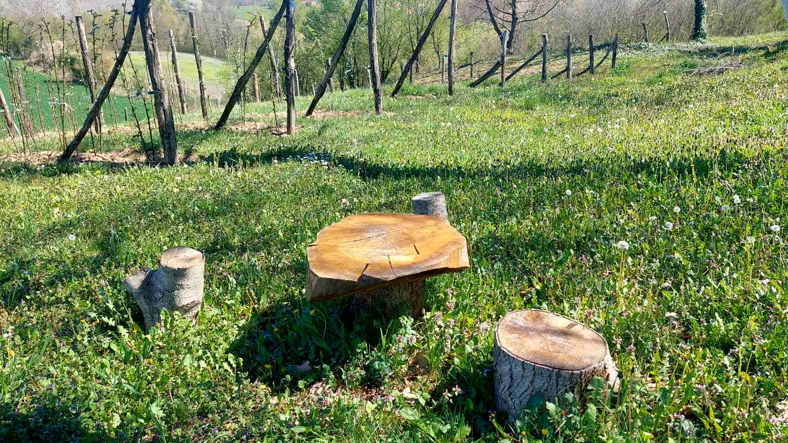 viber-image-2026-04-07-12-02-31-366