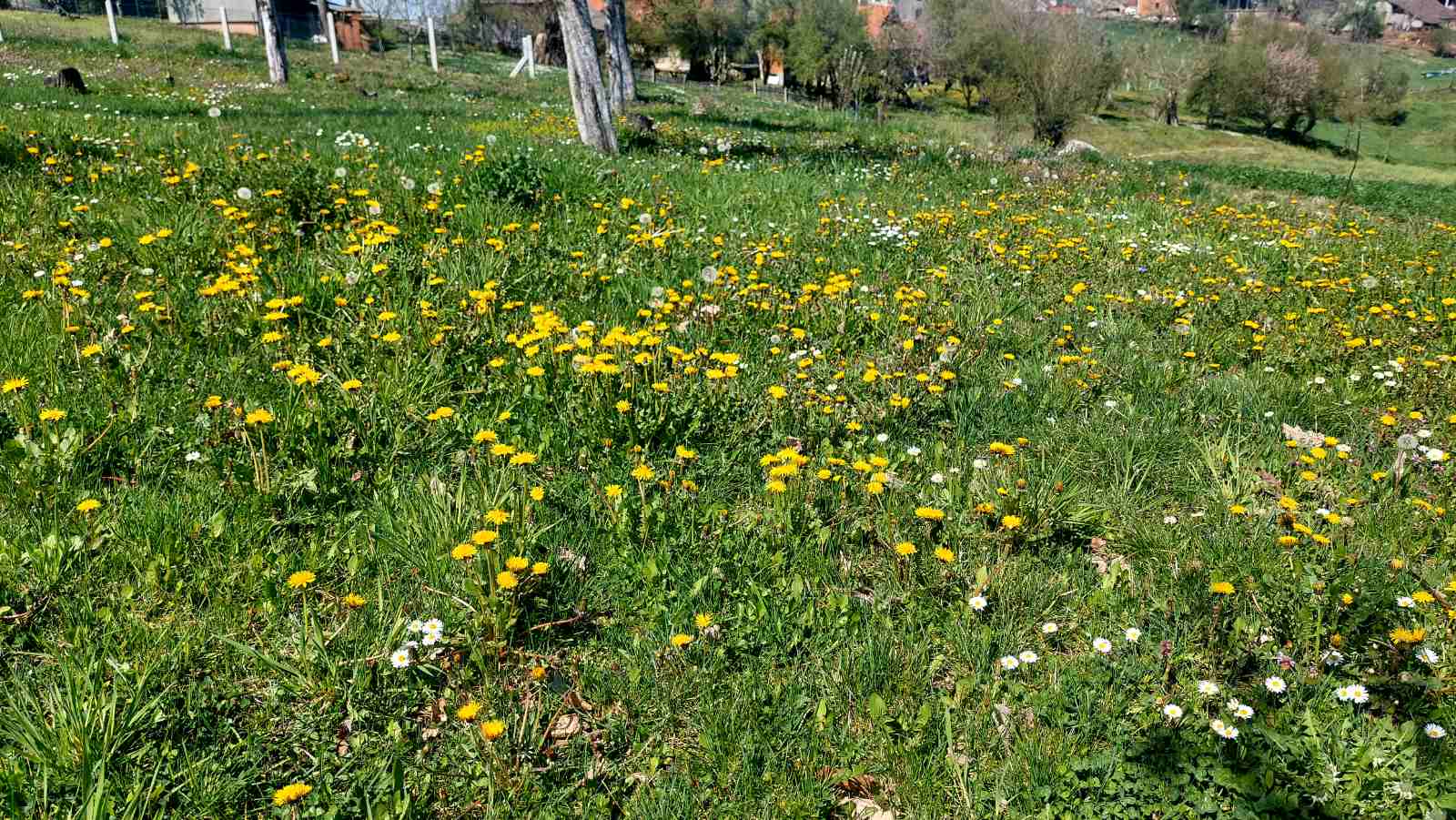 viber-image-2026-04-07-12-02-32-030