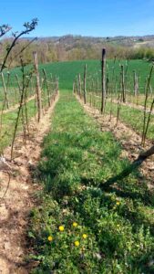 viber-image-2026-04-07-12-02-32-061