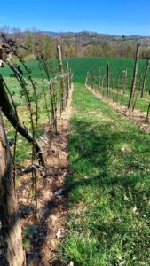 viber-image-2026-04-07-12-02-32-133