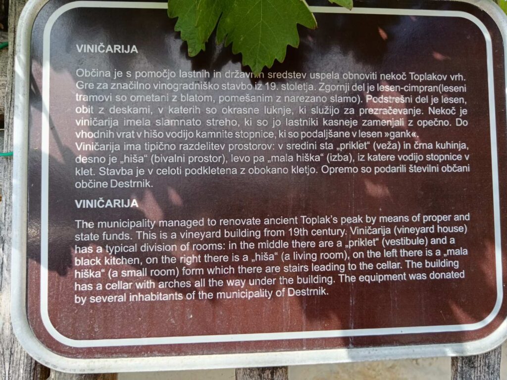 Modra kavčina – loza koja pamti vekove