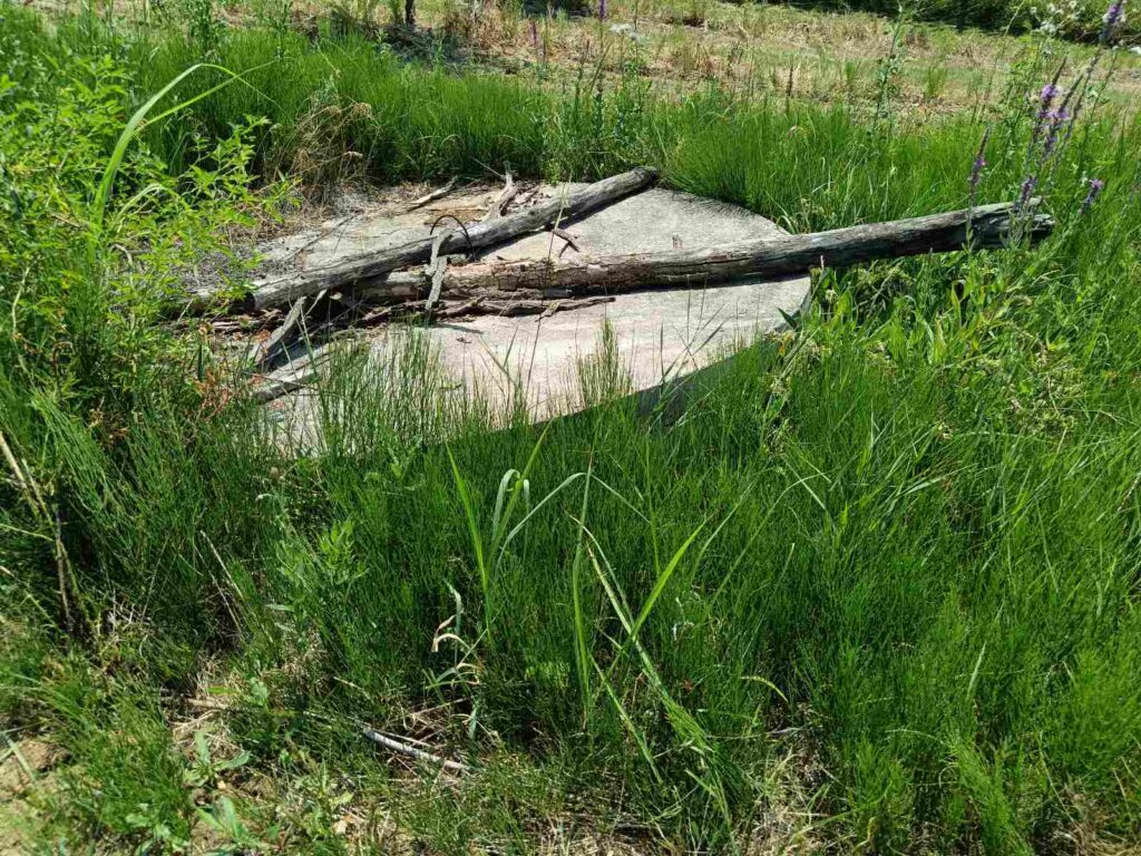 Radeko Šutuljić - omijeni orezivač Mioničkog kraja
