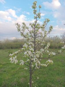 viber-image-2026-04-10-20-14-05-682