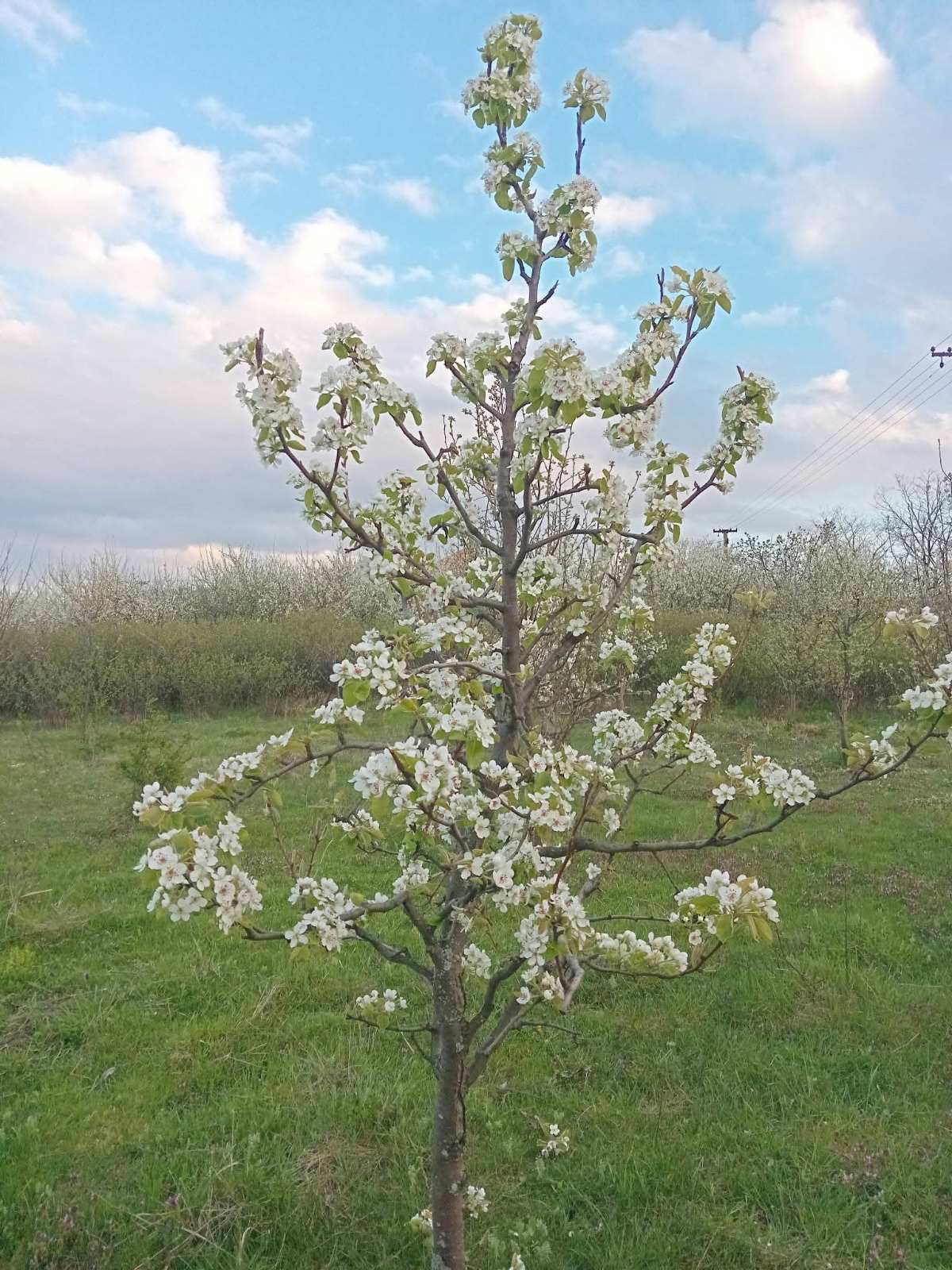 viber-image-2026-04-10-20-14-05-682