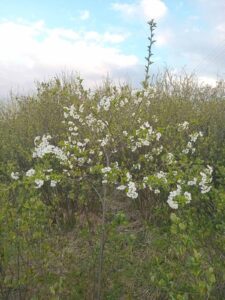 viber-image-2026-04-10-20-14-05-776