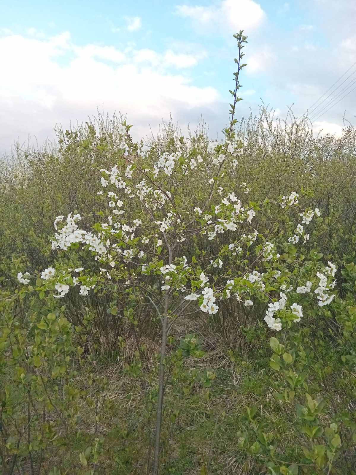 viber-image-2026-04-10-20-14-05-776