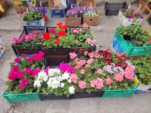 viber-image-2026-04-17-13-08-49-320