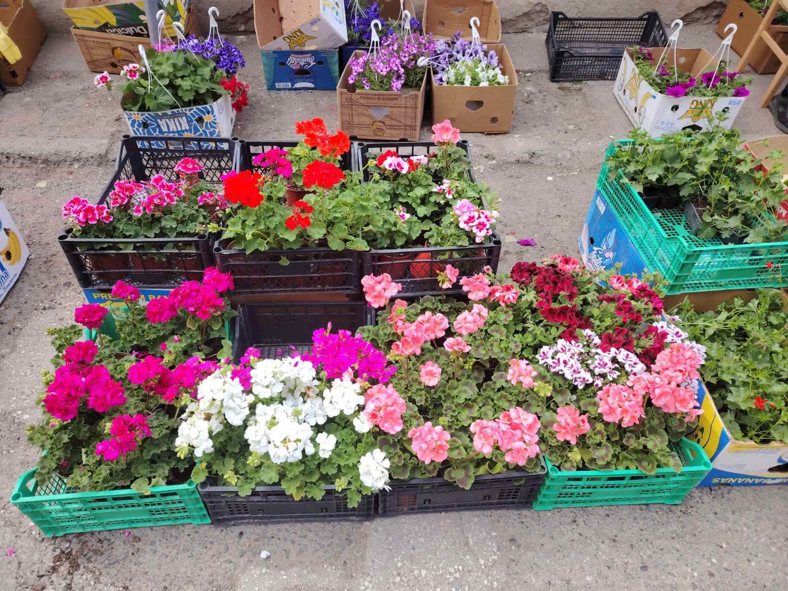 viber-image-2026-04-17-13-08-49-320