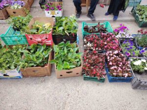 viber-image-2026-04-17-13-08-49-437