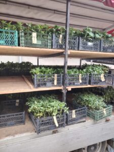 viber-image-2026-04-17-13-08-50-409