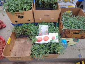 viber-image-2026-04-17-13-08-50-459