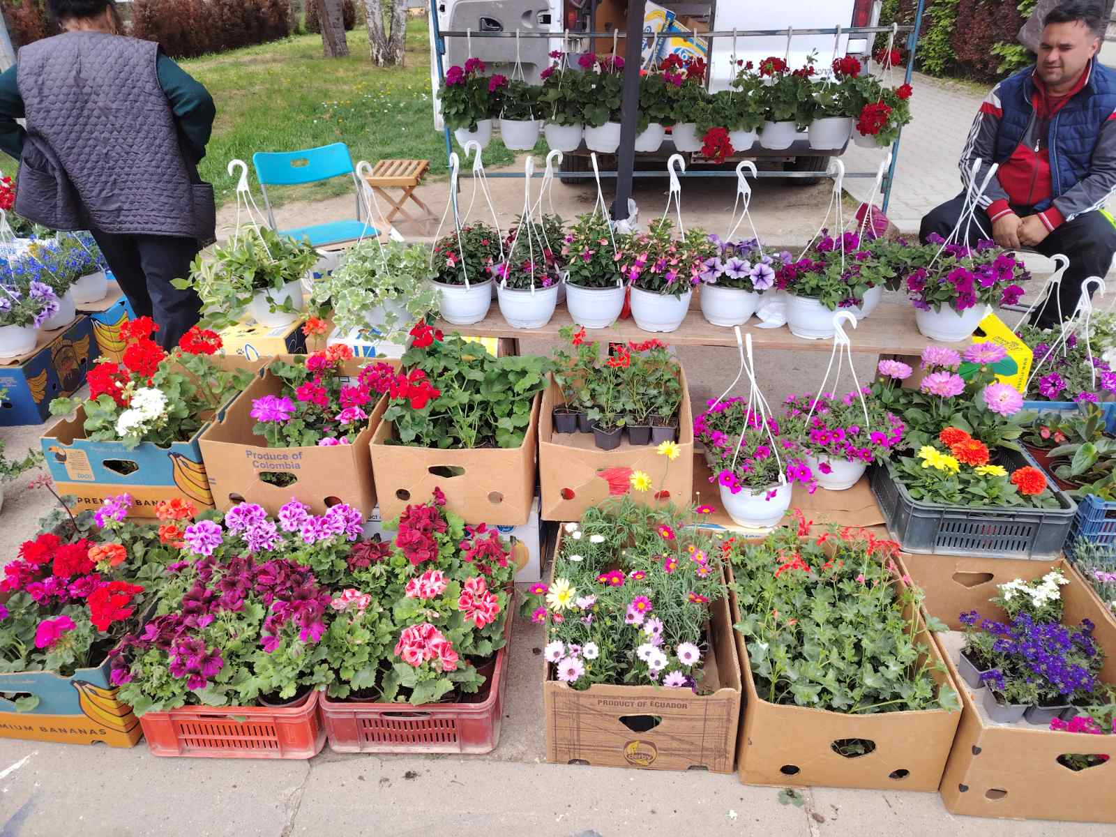 viber-image-2026-04-17-13-08-50-772