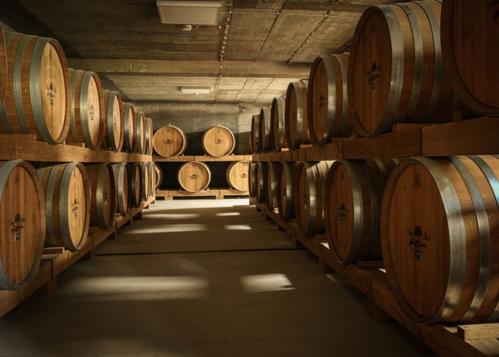Zašto je šljivovica kraljica svih rakija