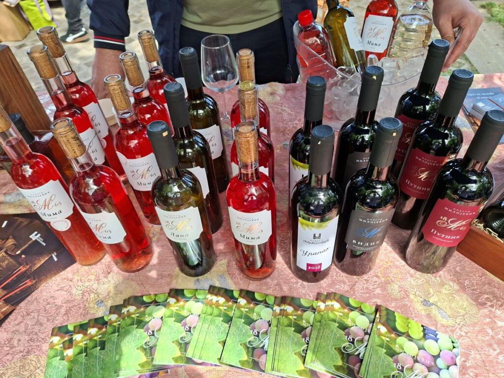 Guja – rakija koja ne ujeda: Tajna ukusa kafe i suve šljive iz srca lazarevačkog vinogorja