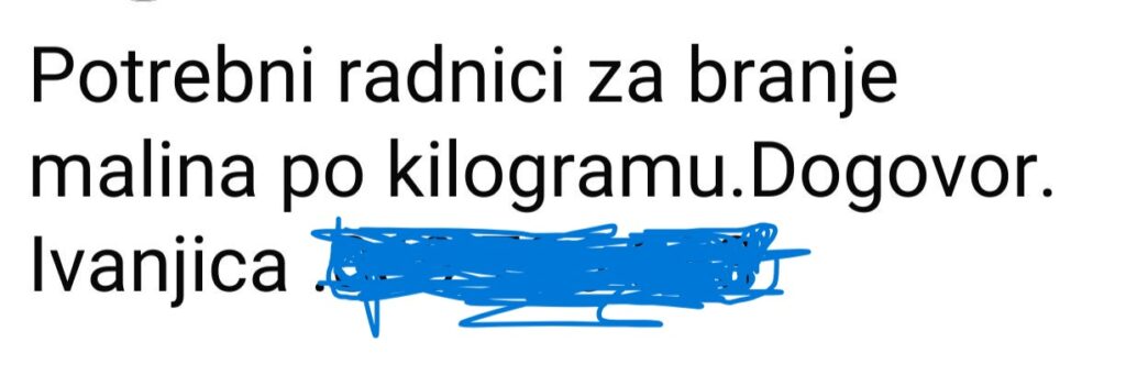Voćari u problemu: Traže berače voća, ali sve manje ljudi želi u nadnicu