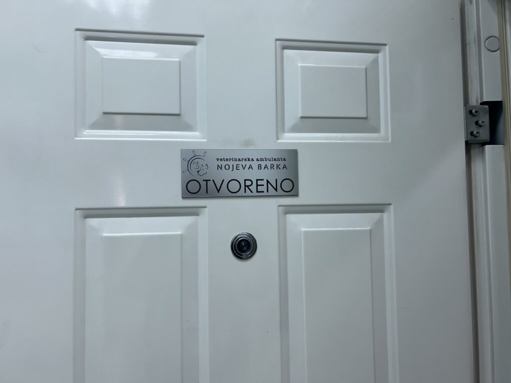 Veterinar upozorava: Psi pate od gastritisa i alergija, vlasnici retko primete prve simptome