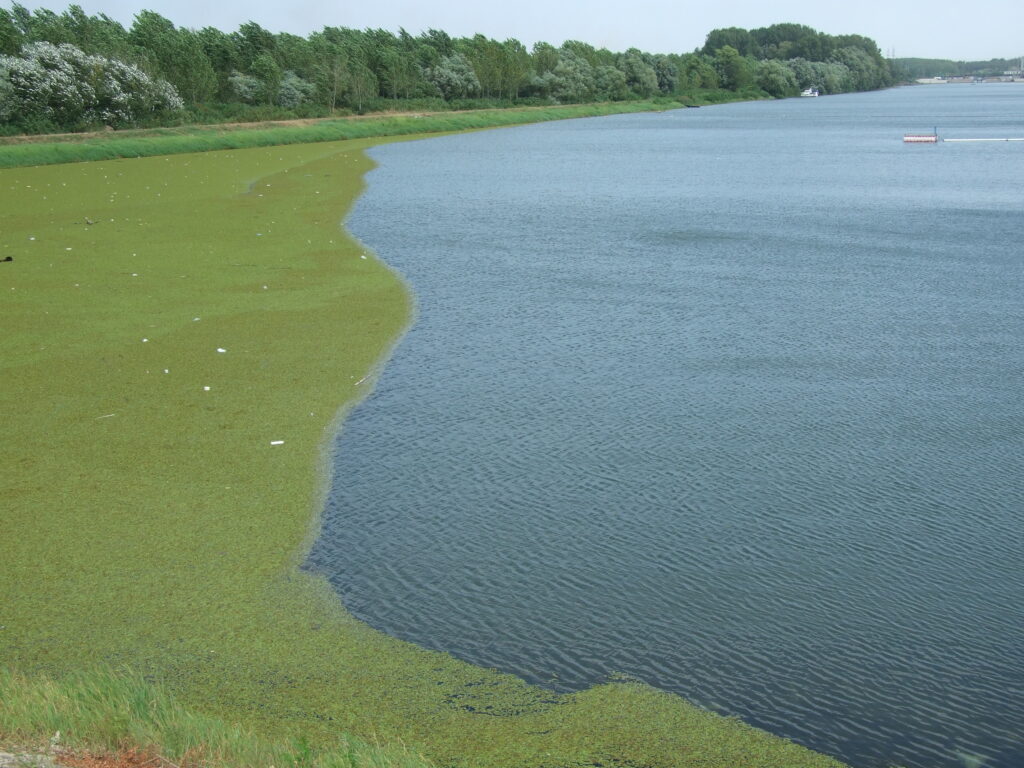 Ostrovo kod Kostolca: Dunav preselio selo